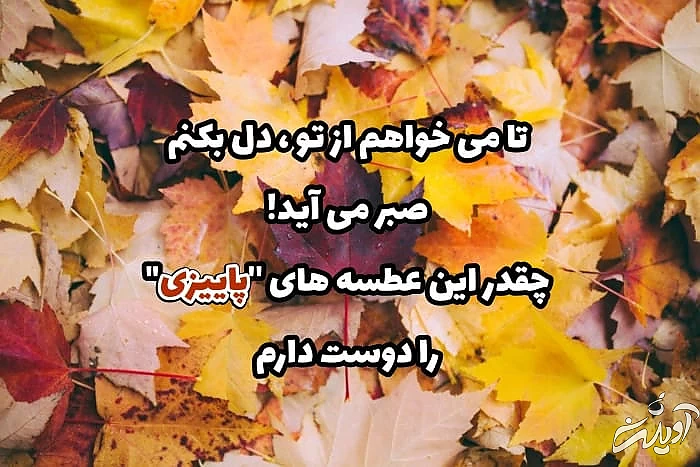 عکس نوشته با برگ های پاییزی عاشقانه های پاییز